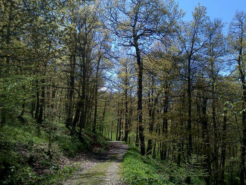 Hotel Rural Pena Castil Sotres Zewnętrze zdjęcie